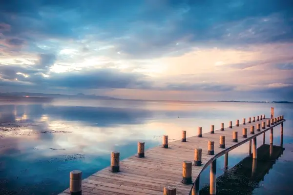 挽星的含义和寓意