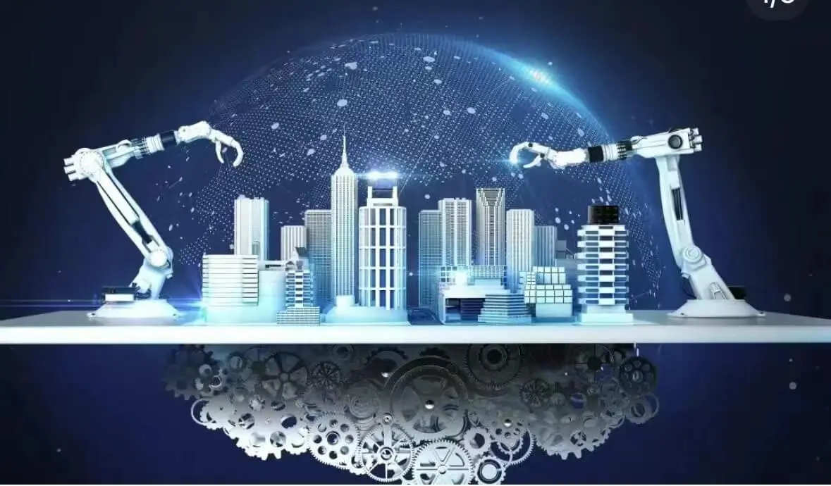 林系的含义是什么